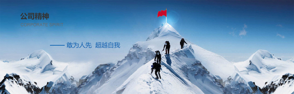 公司精神