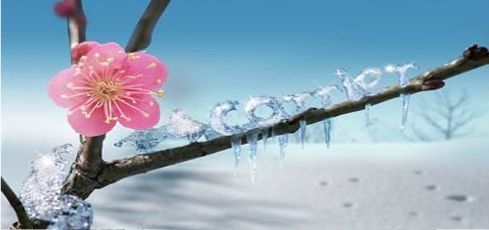 2024年5月，《公司頌：有春不爭抱霜綻，梅領(lǐng)獨(dú)騷添冬暉》